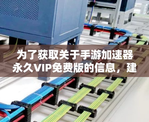 为了获取关于手游加速器永久VIP免费版的信息，建议您按照以下步骤进行