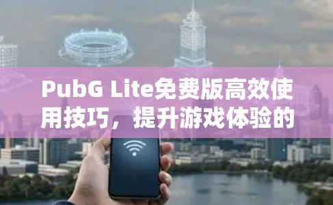 PubG Lite免费版高效使用技巧，提升游戏体验的实用指南