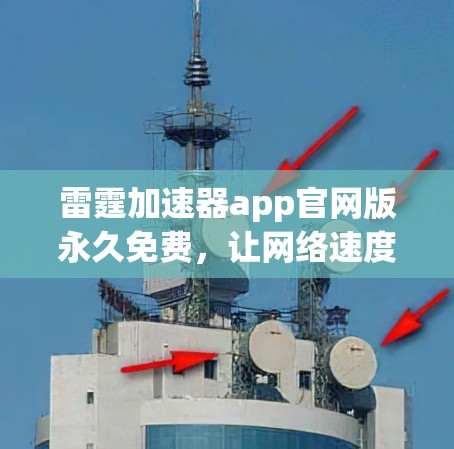 雷霆加速器app官网版永久免费，让网络速度随心而知