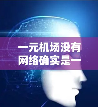 一元机场没有网络确实是一个挑战，但也不是绝对无法使用。以下是一些可能的解决方案和考虑因素