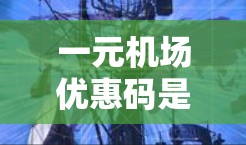 一元机场优惠码是一种可以用于机场内的优惠券或折扣，通常在特定的航班、住宿、餐饮等活动中提供优惠。以下是关于一元机场优惠码的详细分析