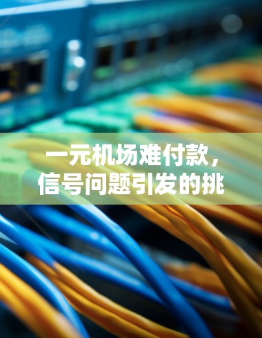 一元机场难付款，信号问题引发的挑战