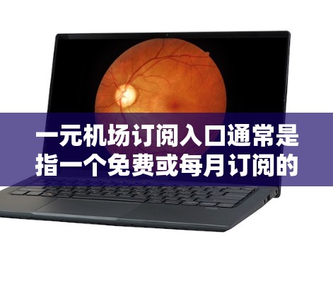 一元机场订阅入口通常是指一个免费或每月订阅的网站，用于获取机场相关的服务和信息。例如，用户可能通过这个入口查看航班信息、行李托运、票务查询、登机指引等信息。具体步骤如下