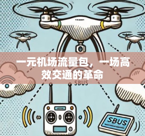 一元机场流量包，一场高效交通的革命