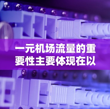 一元机场流量的重要性主要体现在以下几个方面