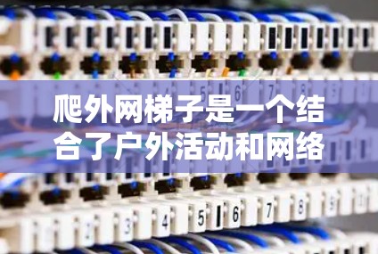 爬外网梯子是一个结合了户外活动和网络设备使用的小型设备。以下是关于爬外网梯子的详细说明