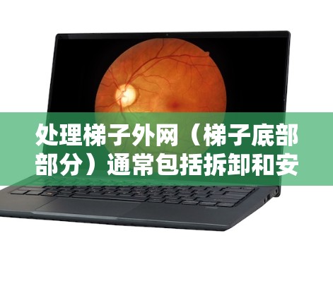 处理梯子外网（梯子底部部分）通常包括拆卸和安装两种情况，具体步骤如下