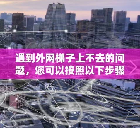 遇到外网梯子上不去的问题，您可以按照以下步骤进行解决