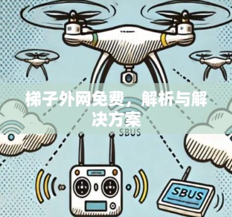 梯子外网免费，解析与解决方案