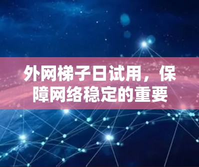 外网梯子日试用，保障网络稳定的重要工具