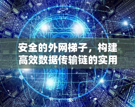 安全的外网梯子,构建高效数据传输链的实用指南 安全的外网梯子,构建高效数据传输链的实用指南