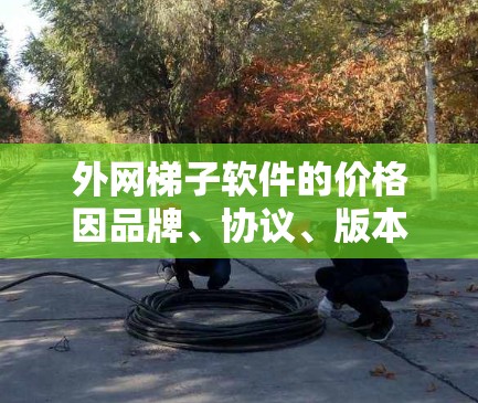 外网梯子软件的价格因品牌、协议、版本、适用场景等因素而异。以下是一些常见的价格区间和考虑因素