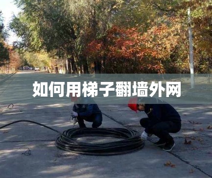 如何用梯子翻墙外网