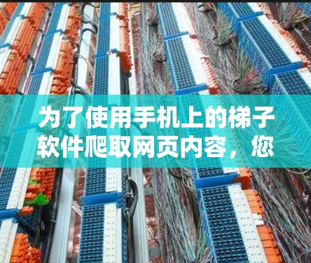 为了使用手机上的梯子软件爬取网页内容，您可以按照以下步骤进行操作