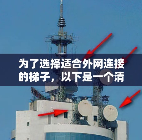 为了选择适合外网连接的梯子，以下是一个清晰的步骤指南