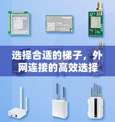 选择合适的梯子，外网连接的高效选择