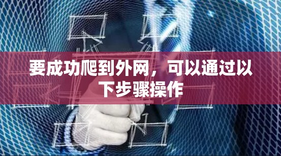 要成功爬到外网，可以通过以下步骤操作