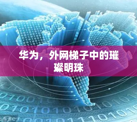 华为，外网梯子中的璀璨明珠