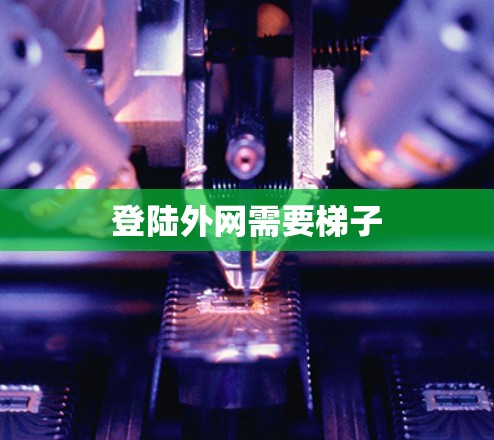 登陆外网需要梯子