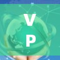 VPN极速版客户端推荐给需要快速、安全且兼容多设备的用户。以下是一些推荐的选项
