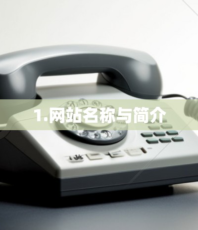 1.网站名称与简介