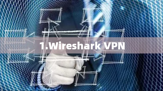 1.Wireshark VPN