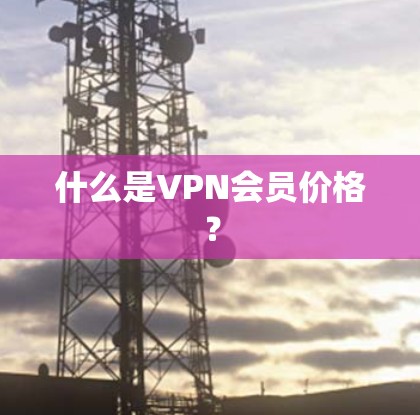 什么是VPN会员价格？