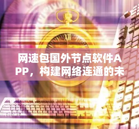网速包国外节点软件APP，构建网络连通的未来