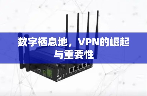 数字栖息地，VPN的崛起与重要性
