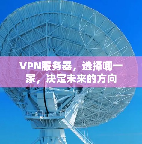 VPN服务器，选择哪一家，决定未来的方向