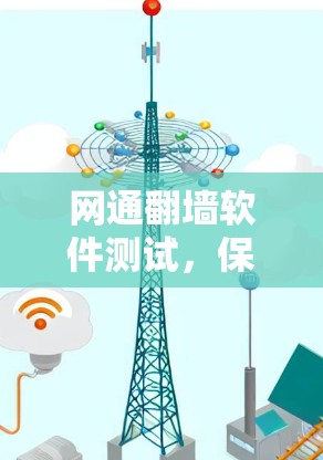网通翻墙软件测试，保障网络安全的关键