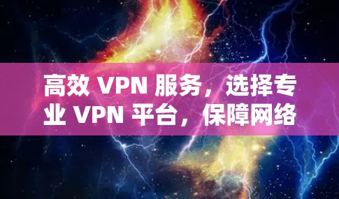 高效 VPN 服务，选择专业 VPN 平台，保障网络安全