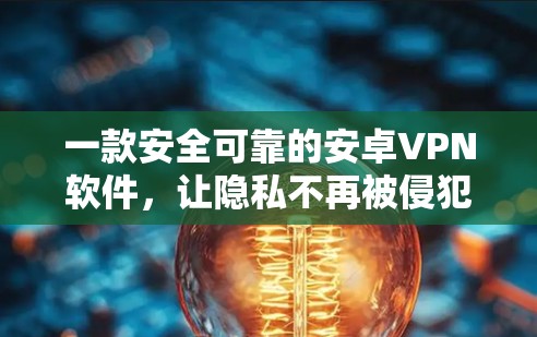 一款安全可靠的安卓VPN软件，让隐私不再被侵犯！