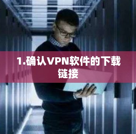 1.确认VPN软件的下载链接
