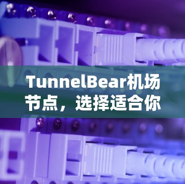 TunnelBear机场节点，选择适合你的服务器解决方案