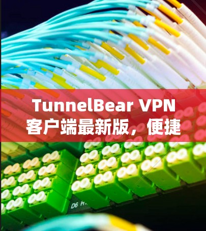 TunnelBear VPN客户端最新版，便捷安全，轻松管理