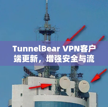 TunnelBear VPN客户端更新，增强安全与流畅使用