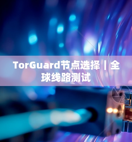 TorGuard节点选择｜全球线路测试